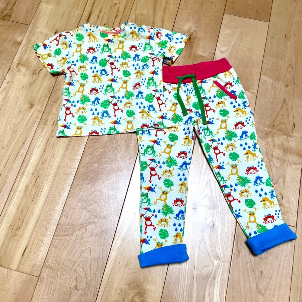 Colorful frogs pattern Kids tee and pants Set 2T organic cotton